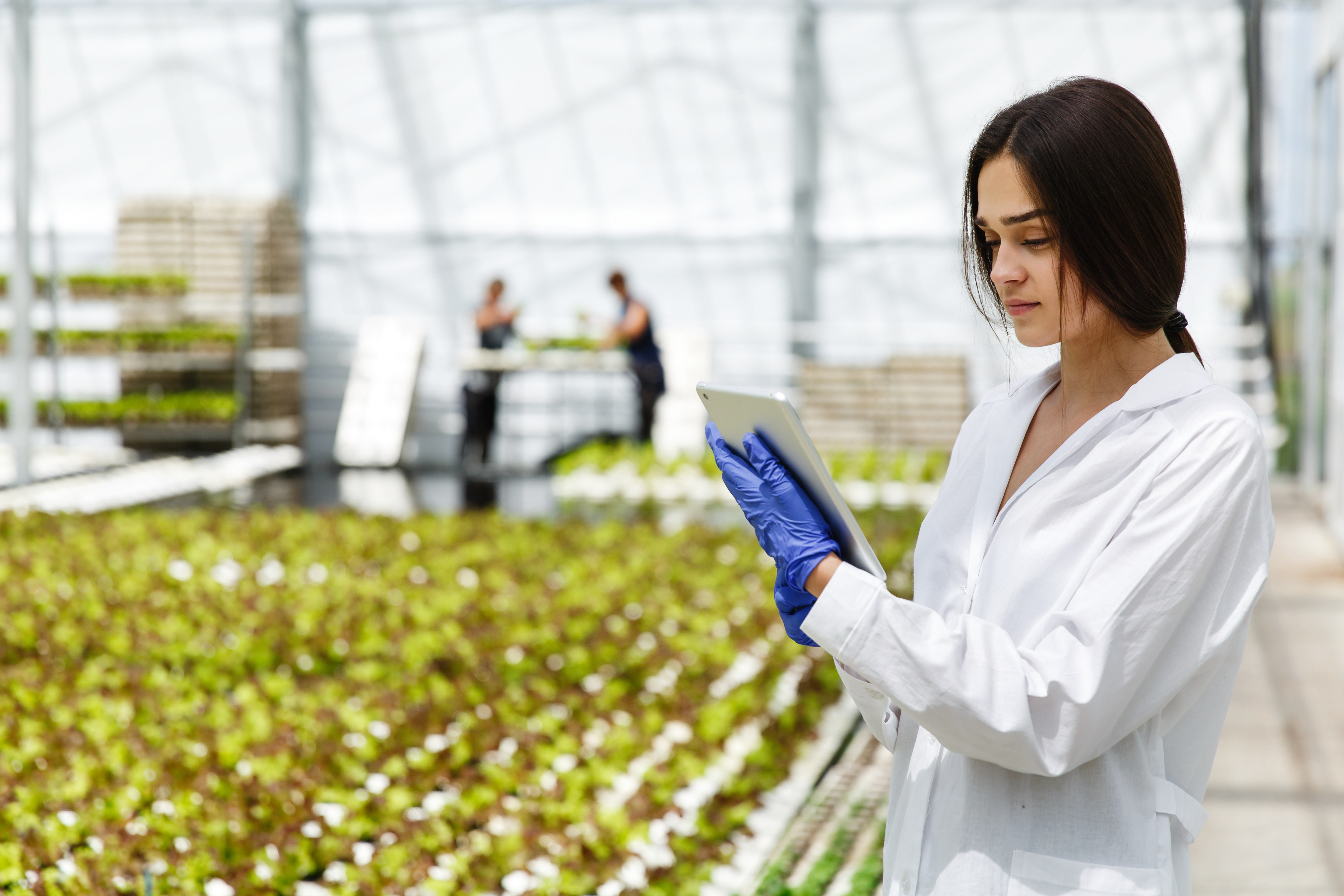 Agriculture software development and farming technology solutions